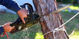 Best Aeration Services  in Pine Bush, NY
