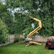 Best Tree Risk Assessment  in Pine Bush, NY