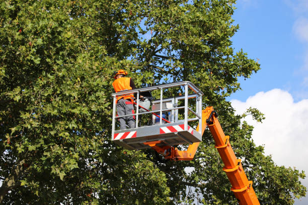 Best Hazardous Tree Removal  in Pine Bush, NY