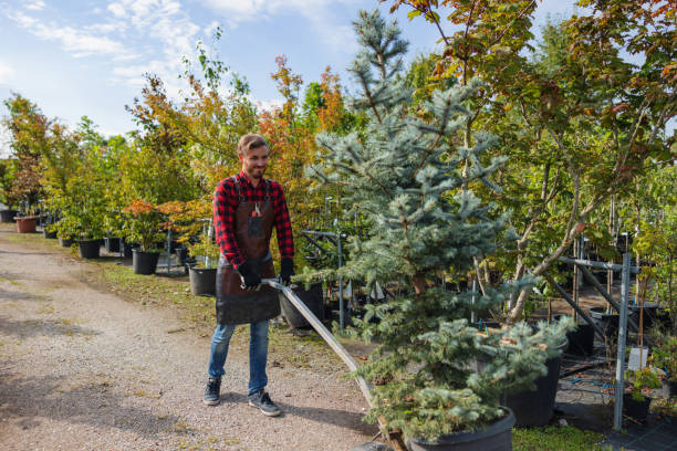 Best Utility Line Clearance  in Pine Bush, NY